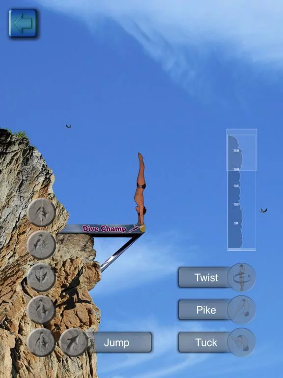 Изображение игры: Cliff Diving Champ