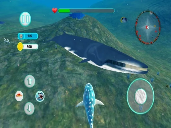 Изображение игры: Shark Attack Evolution 3D Pro
