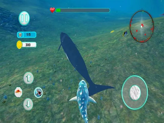 Изображение игры: Shark Attack Evolution 3D