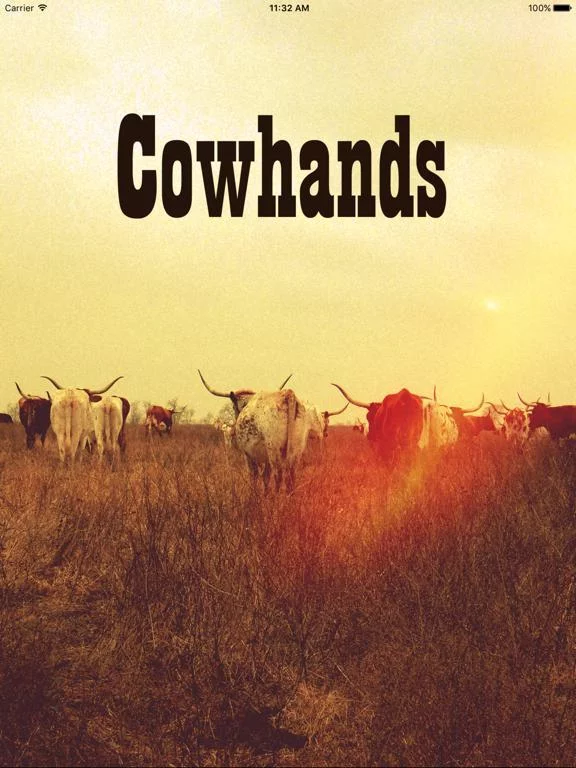 Изображение игры: Cowhands