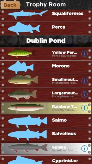 Изображение игры: Spring Fishing