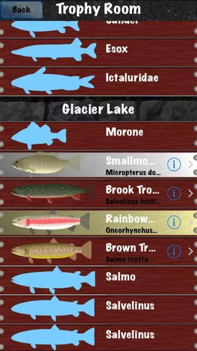 Изображение игры: Winter Fishing
