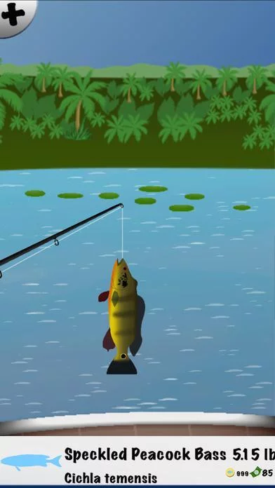 Изображение игры: Summer Fishing