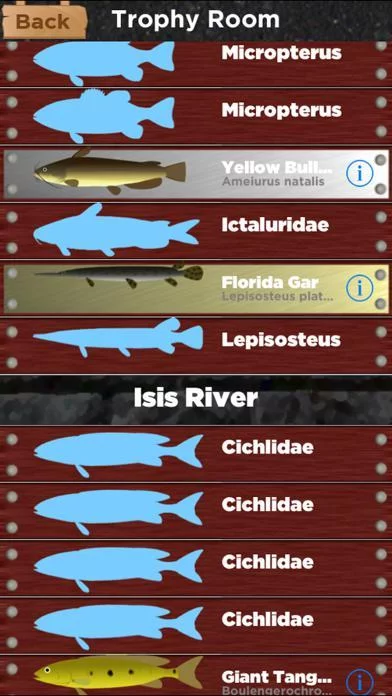 Изображение игры: Summer Fishing