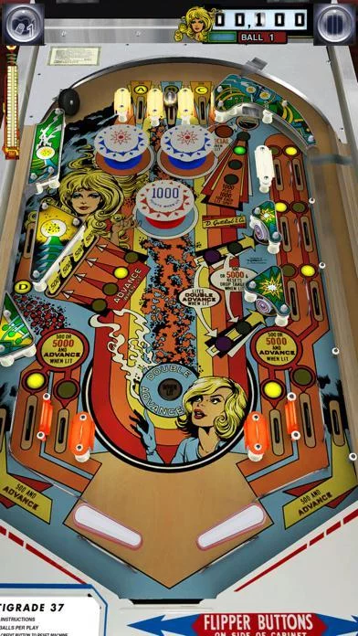 Изображение игры: Pinball Arcade Plus