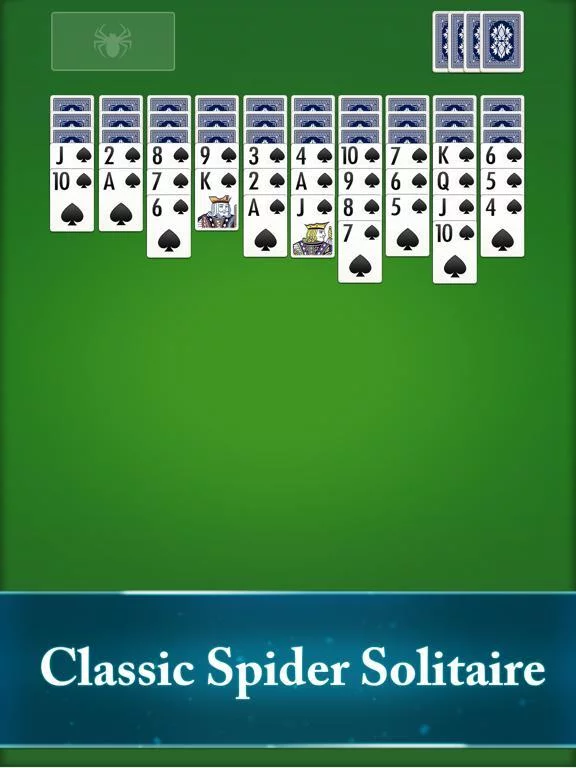 Изображение игры: Spider Solitaire․