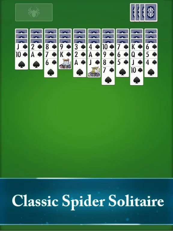 Изображение игры: Spider Solitaire․