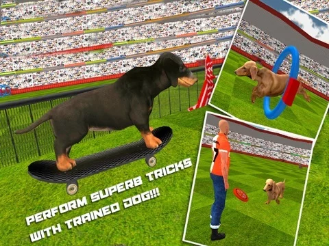 Изображение игры: Dog Show Simulator 3D: Train puppies & perform amazing stunts