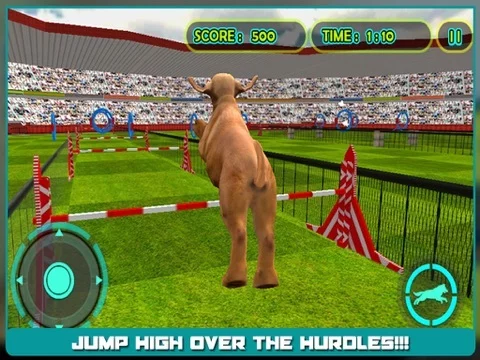 Изображение игры: Dog Show Simulator 3D: Train puppies & perform amazing stunts