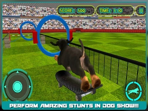 Изображение игры: Dog Show Simulator 3D: Train puppies & perform amazing stunts