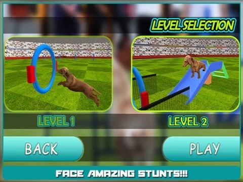 Изображение игры: Dog Show Simulator 3D: Train puppies & perform amazing stunts