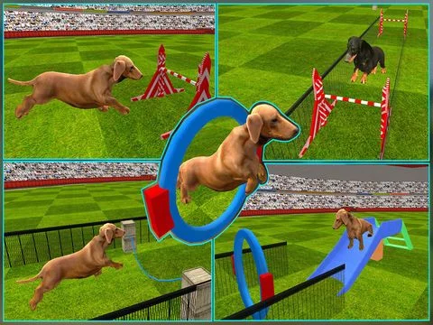 Изображение игры: Dog Show Simulator 3D: Train puppies & perform amazing stunts