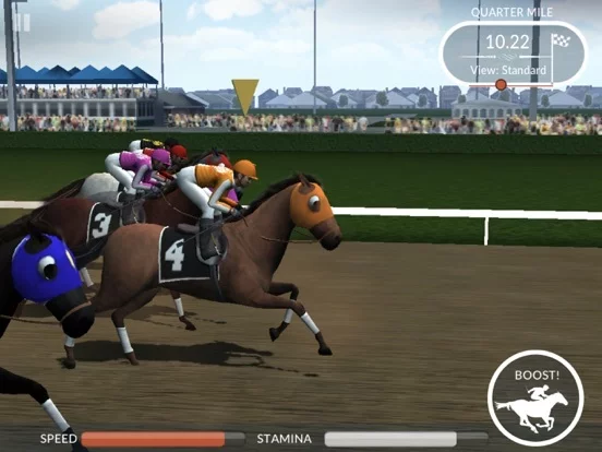 Изображение игры: Photo Finish Horse Racing