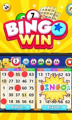 Изображение игры: Bingo Win