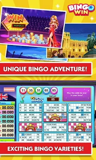 Изображение игры: Bingo Win