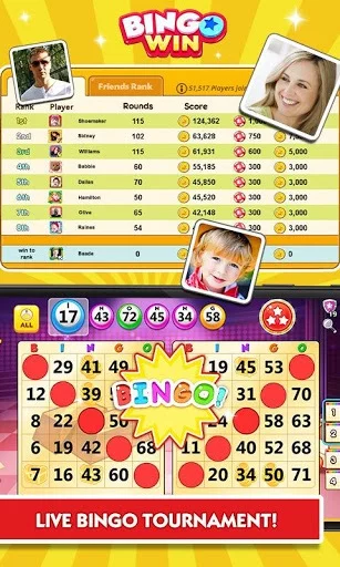 Изображение игры: Bingo Win