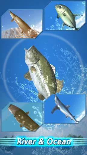 Изображение игры: Fishing Season: River To Ocean (Android)