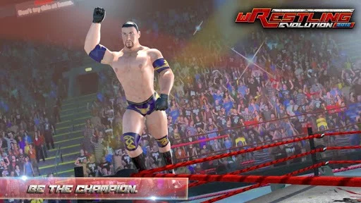 Изображение игры: Wrestling Games - Revolution: Fighting Games