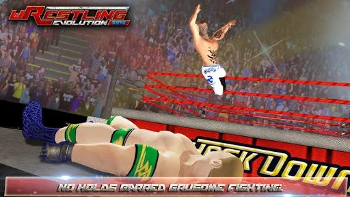 Изображение игры: Wrestling Games - Revolution: Fighting Games