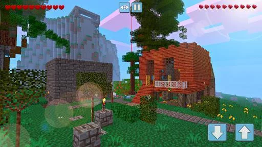 Изображение игры: Block Craft World 3D
