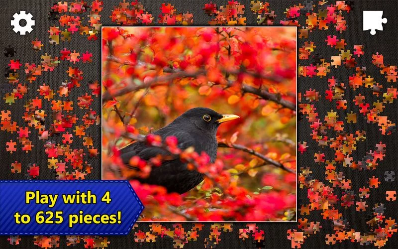 Изображение игры: Jigsaw Puzzles Epic
