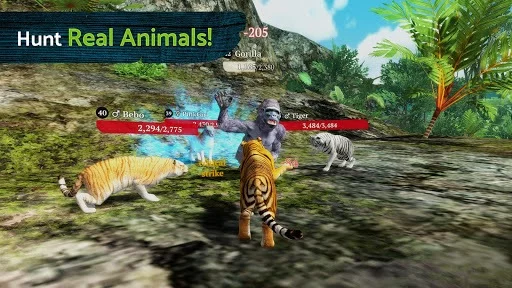 Изображение игры: The Tiger