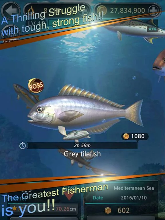 Изображение игры: Fishing Hook