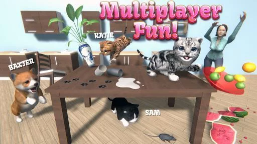 Изображение игры: Cat Simulator - and friends 🐾