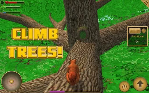 Изображение игры: Squirrel Simulator