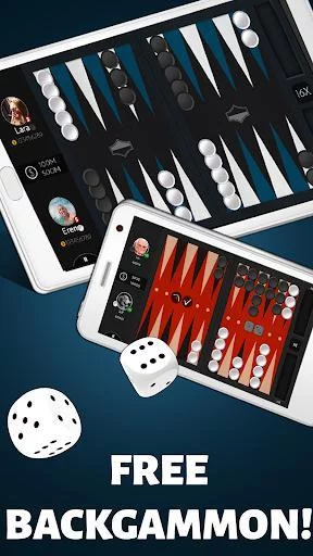 Изображение игры: Backgammon Offline