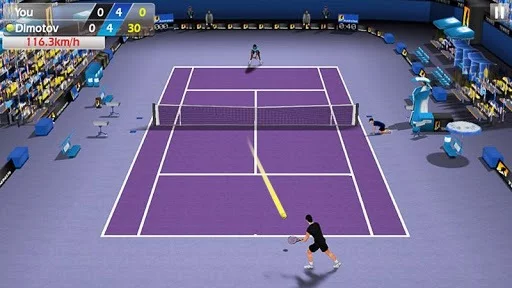 Изображение игры: 3D Tennis