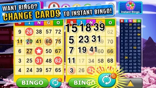 Изображение игры: Bingo Craze
