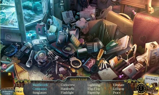 Изображение игры: Enigmatis Hidden Object (Full)