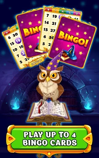 Изображение игры: Wizard of Bingo