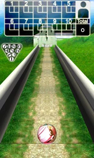 Изображение игры: 3D Bowling