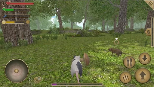 Изображение игры: Mouse Simulator