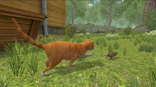 Изображение игры: Mouse Simulator