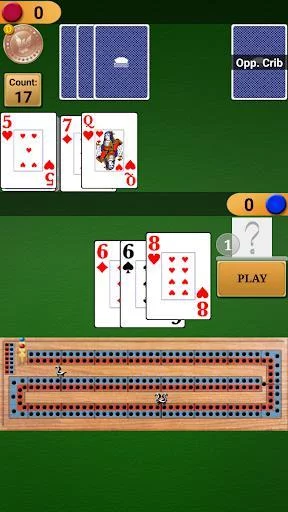 Изображение игры: Cribbage Pro Online!