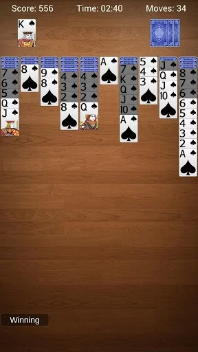 Изображение игры: Spider Solitaire - Best Classic Card Games