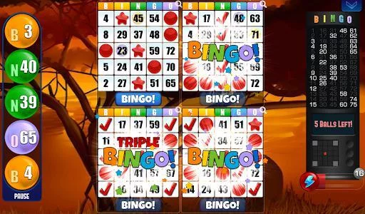 Изображение игры: Bingo - Free Bingo Games