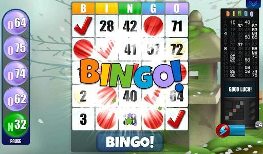 Изображение игры: Bingo - Free Bingo Games