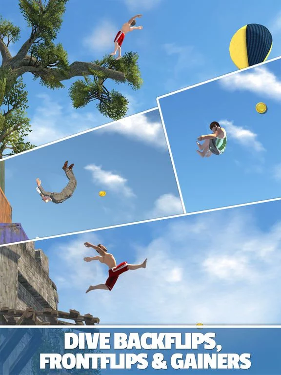 Изображение игры: Flip Diving