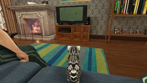 Изображение игры: Cat Simulator: Kitty Craft