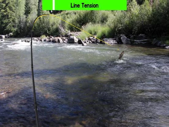 Изображение игры: Fly Fishing Simulator HD
