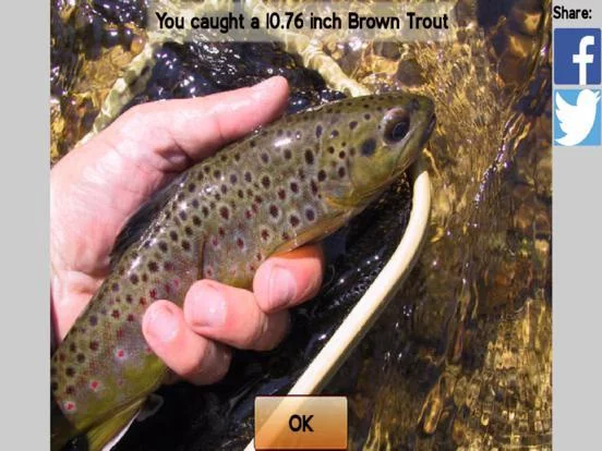 Изображение игры: Fly Fishing Simulator HD