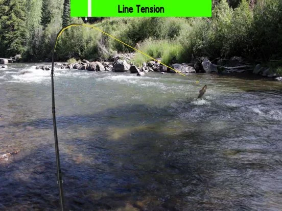 Изображение игры: Fly Fishing Simulator HD