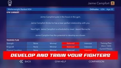 Изображение игры: World Title Boxing Manager