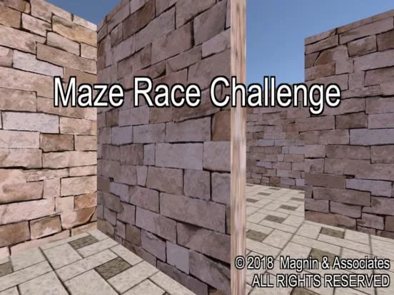 Изображение игры: Maze Race Challenge
