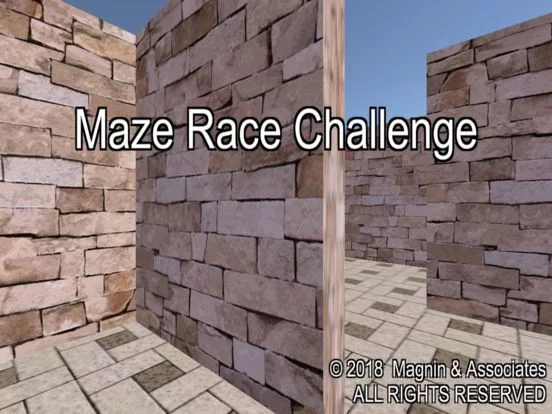 Изображение игры: Maze Race Challenge