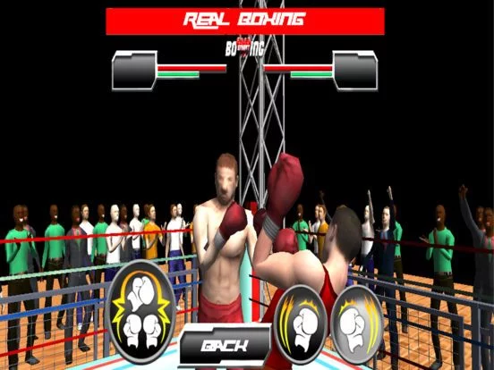 Изображение игры: Real Wrestling Fighting